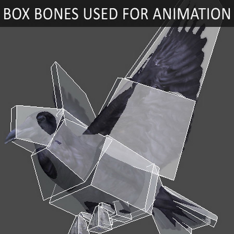 Animated Crow 3D model_6