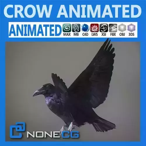 Animated Crow 3D model