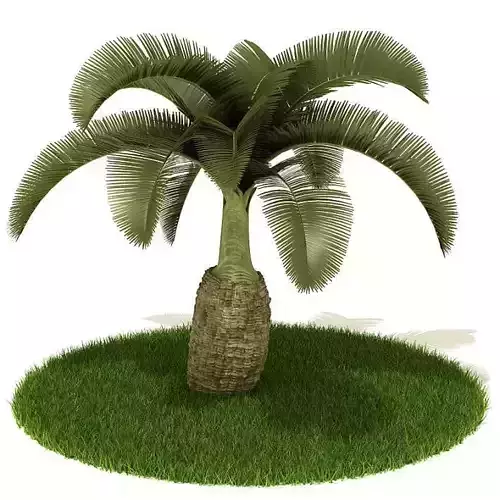 Lush Green Palm Tree