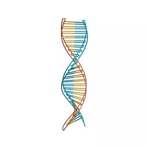 DNA Molecule v3 006
