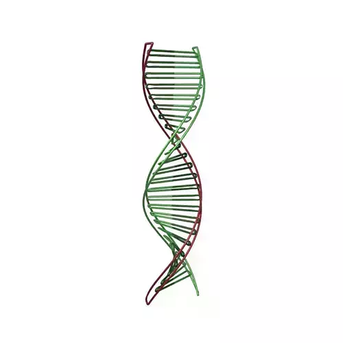 DNA Molecule v3 007 Low-poly 3D model