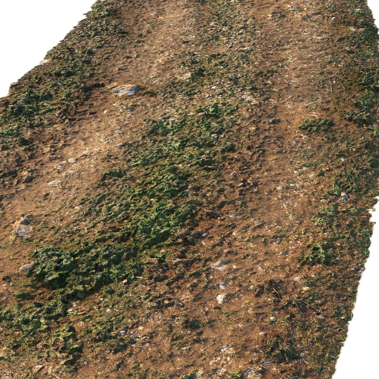  Dirt Road Material 06 3D model_3