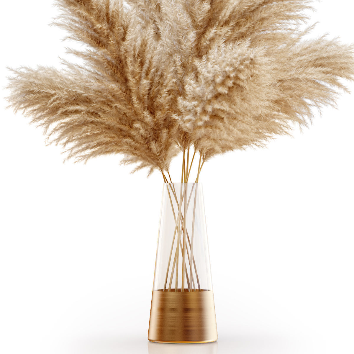 Pampas grass 11 3D model_3