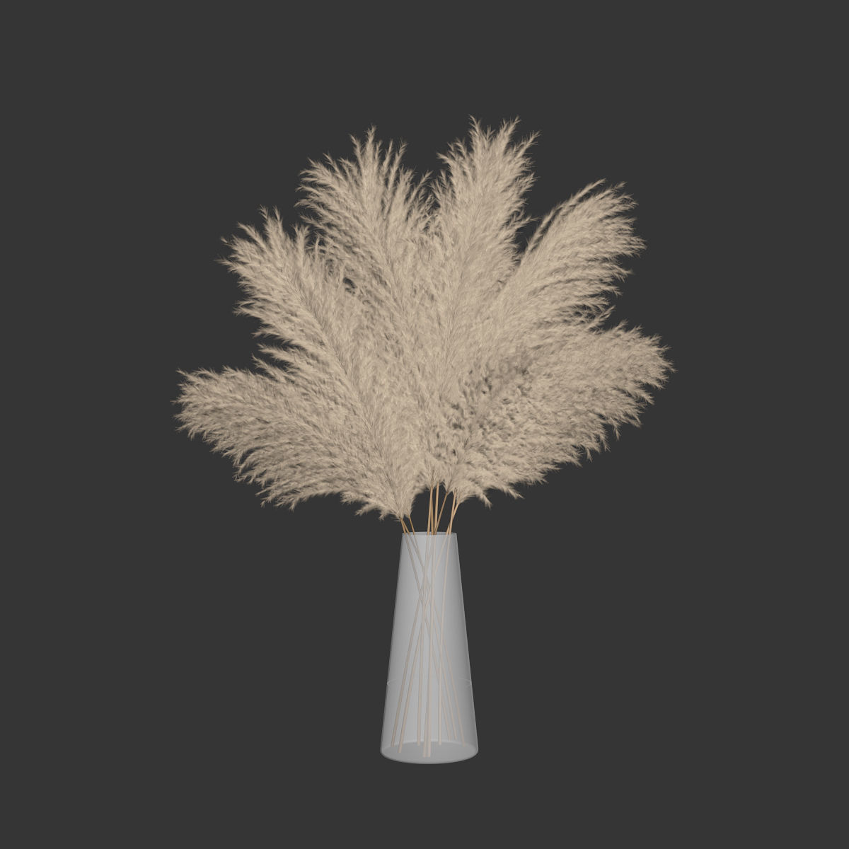 Pampas grass 11 3D model_4