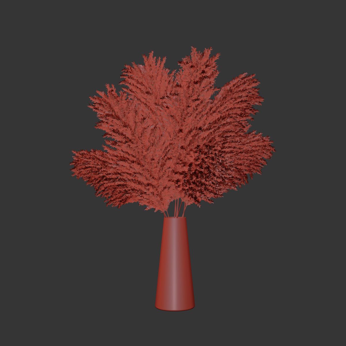 Pampas grass 11 3D model_5