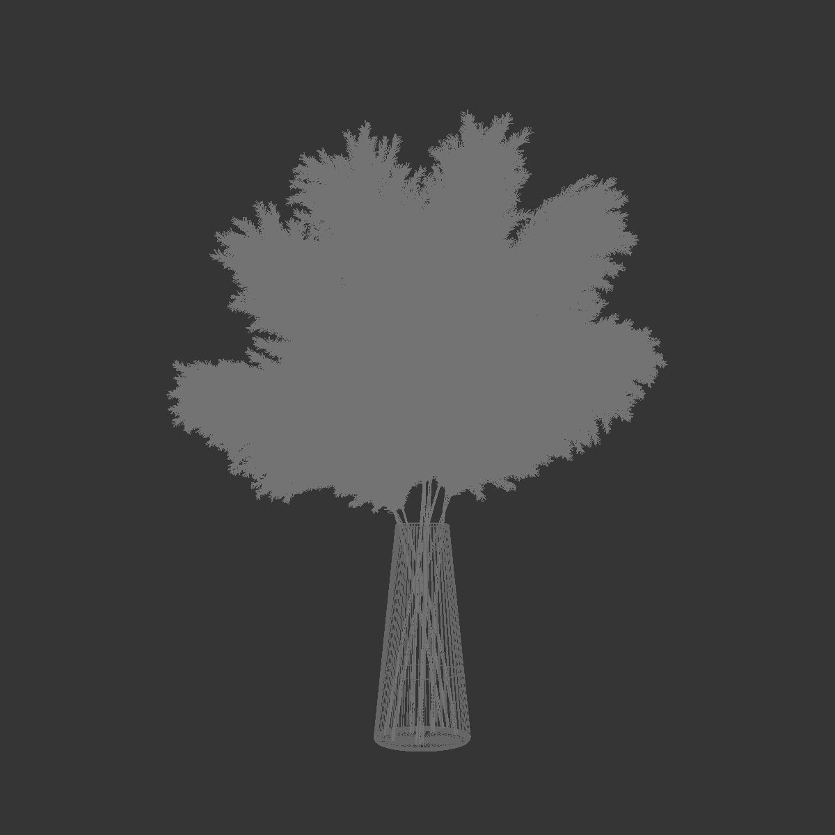 Pampas grass 11 3D model_7