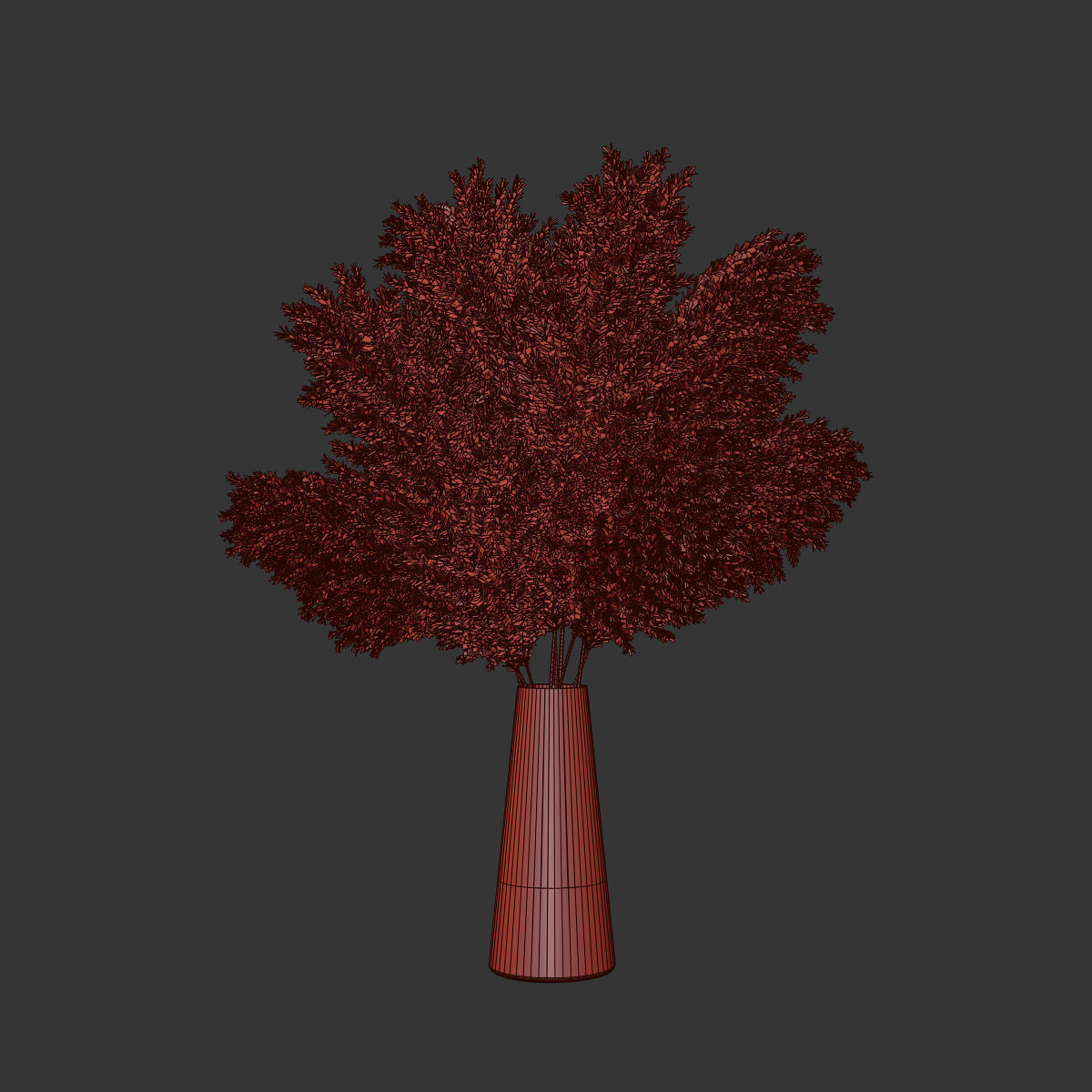 Pampas grass 11 3D model_6