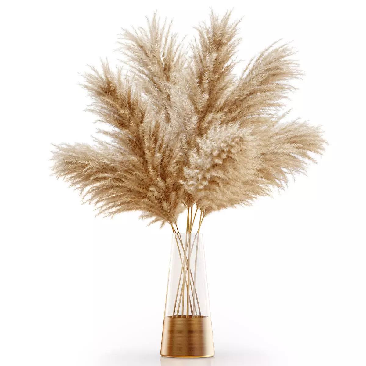 Pampas grass 11 3D model_0