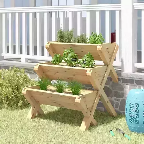 Konkol Fir Vertical Garden