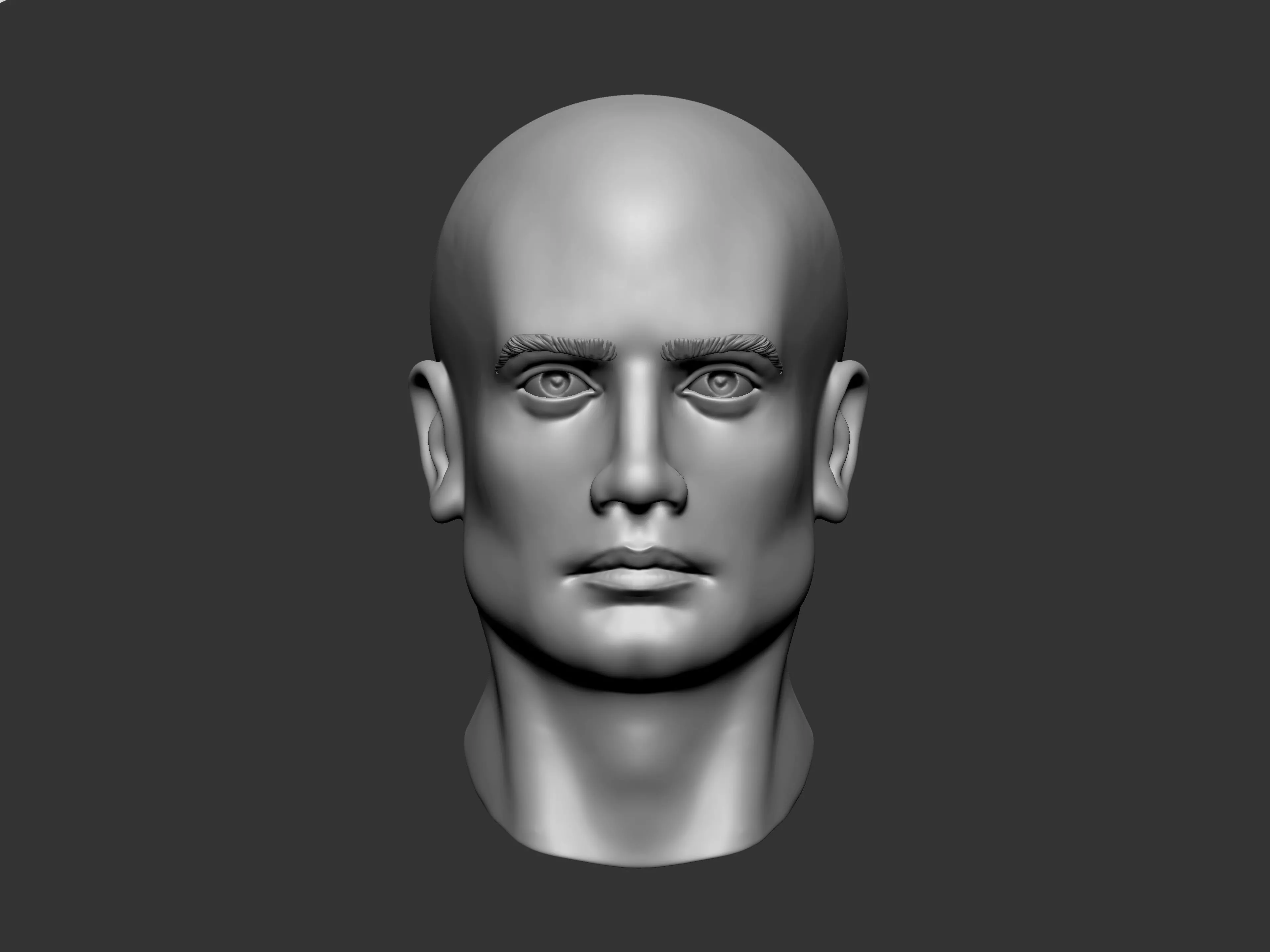 Male Head High Poly 3D model Free 3D model
