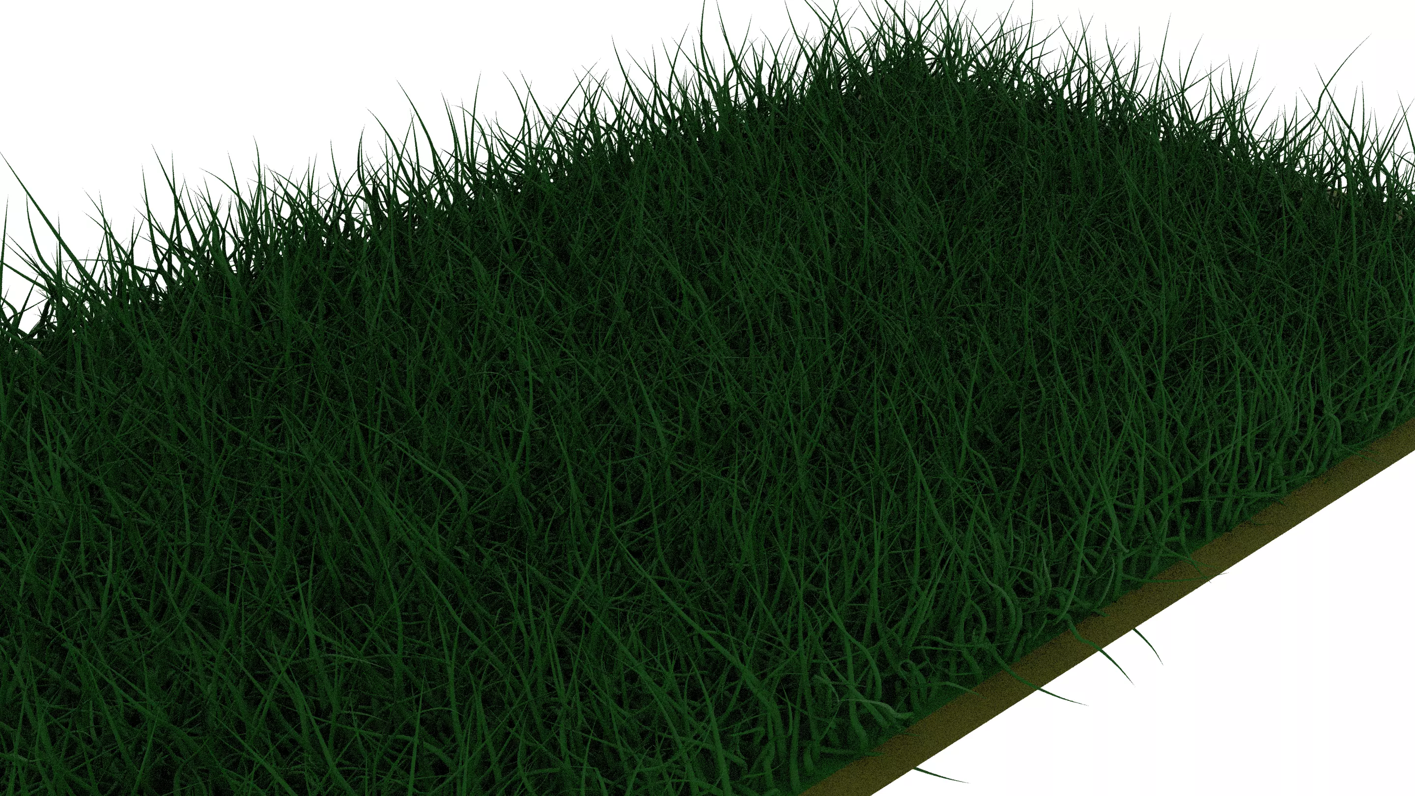 grass - Free 3D model_0