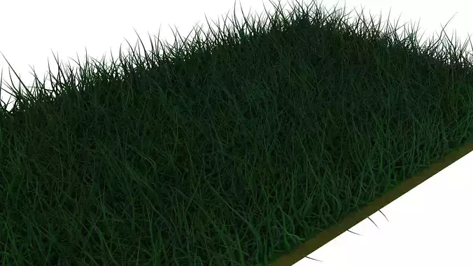 grass -