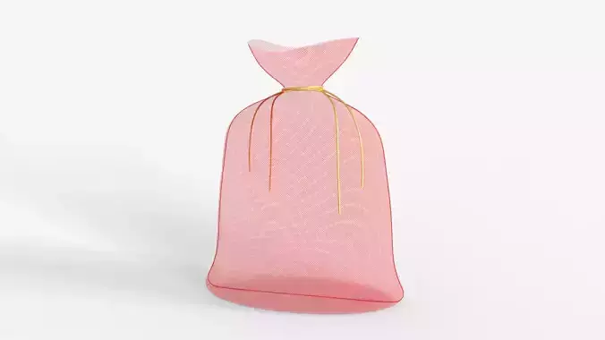 Gift Bag