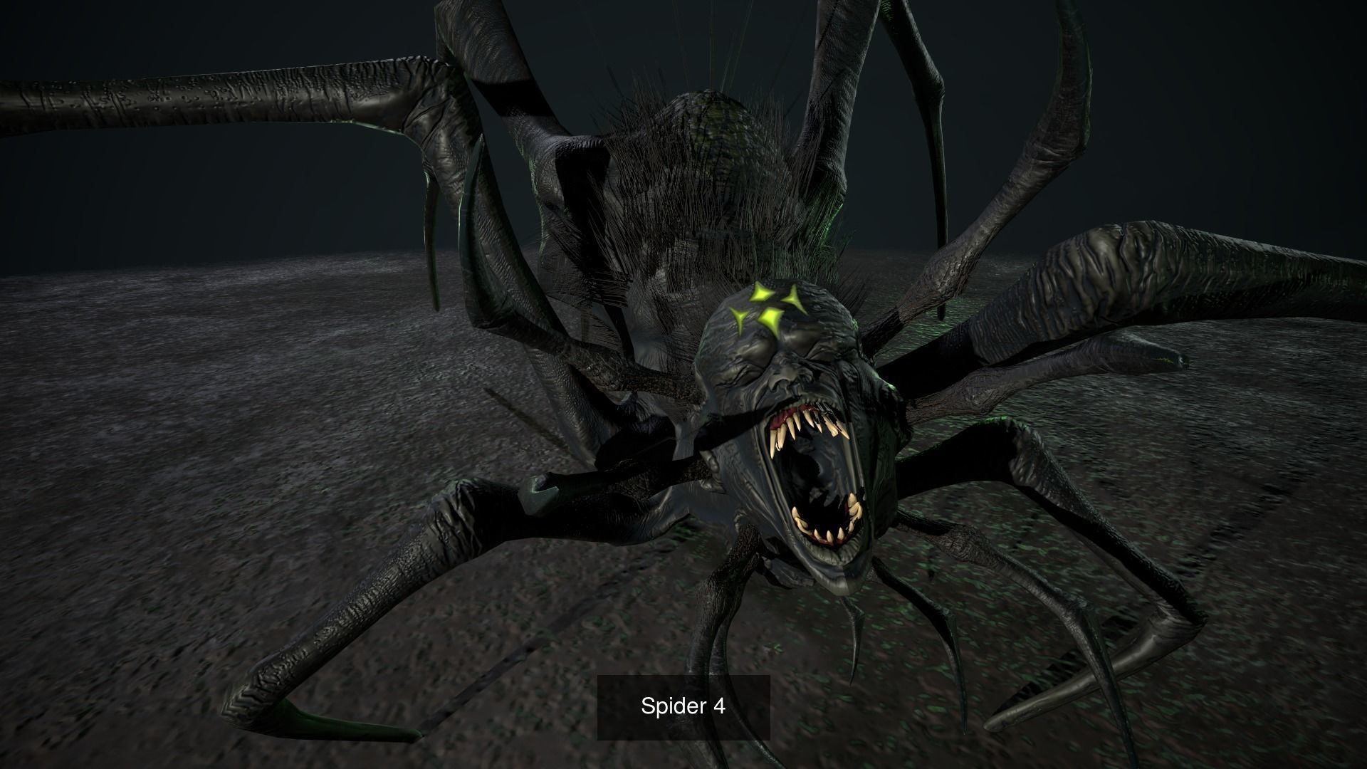 Spider Pack 2 3D Model Collection_3