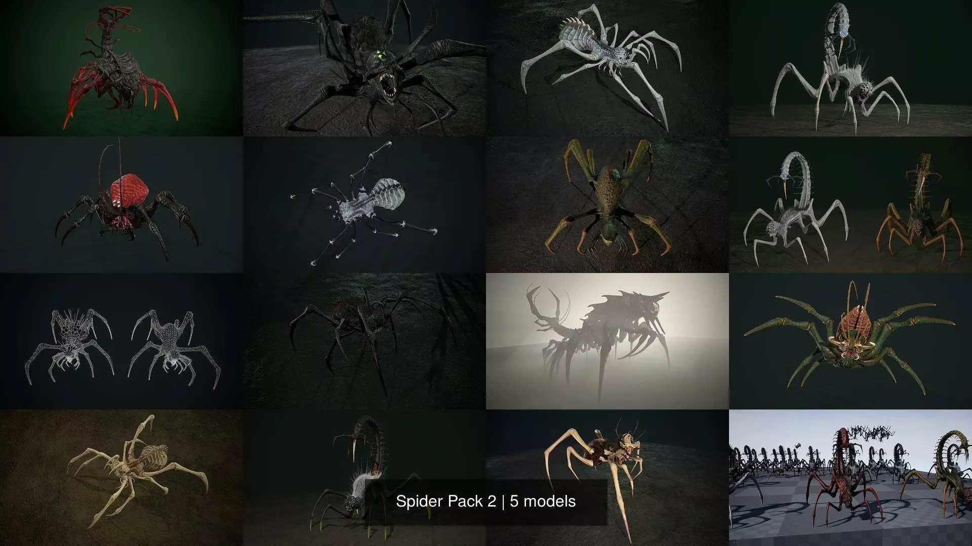 Spider Pack 2 3D Model Collection_1