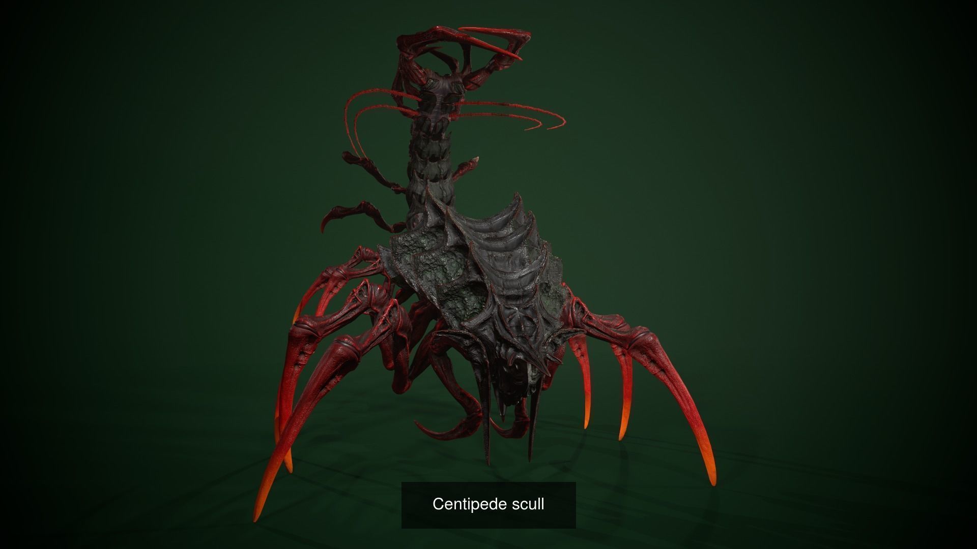 Spider Pack 2 3D Model Collection_2