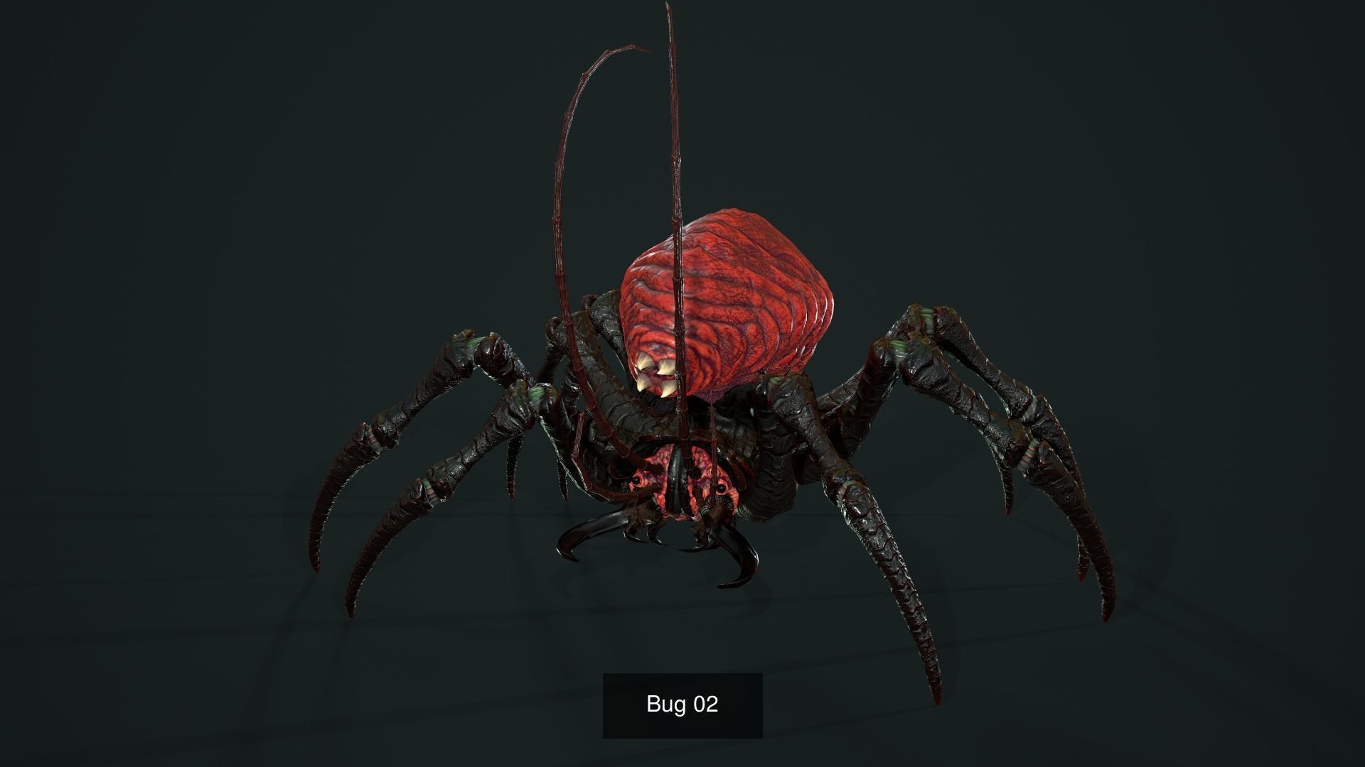 Spider Pack 2 3D Model Collection_6