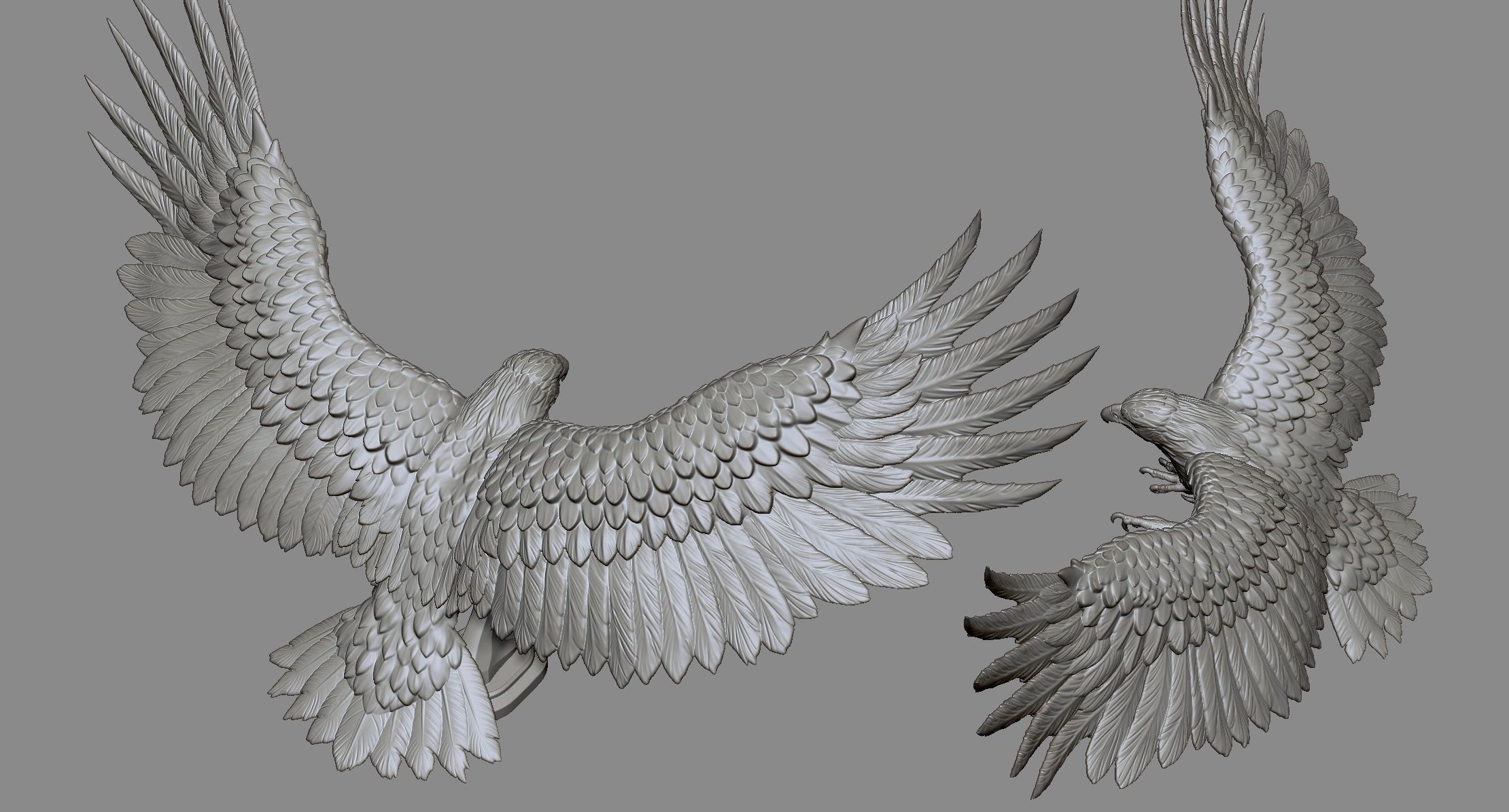 Eagle Golden 3D print model_6
