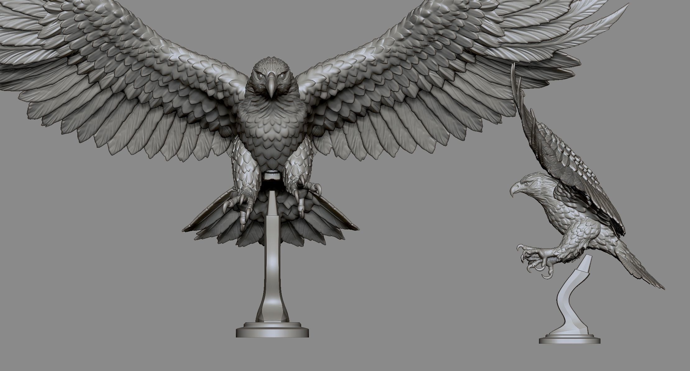 Eagle Golden 3D print model_7