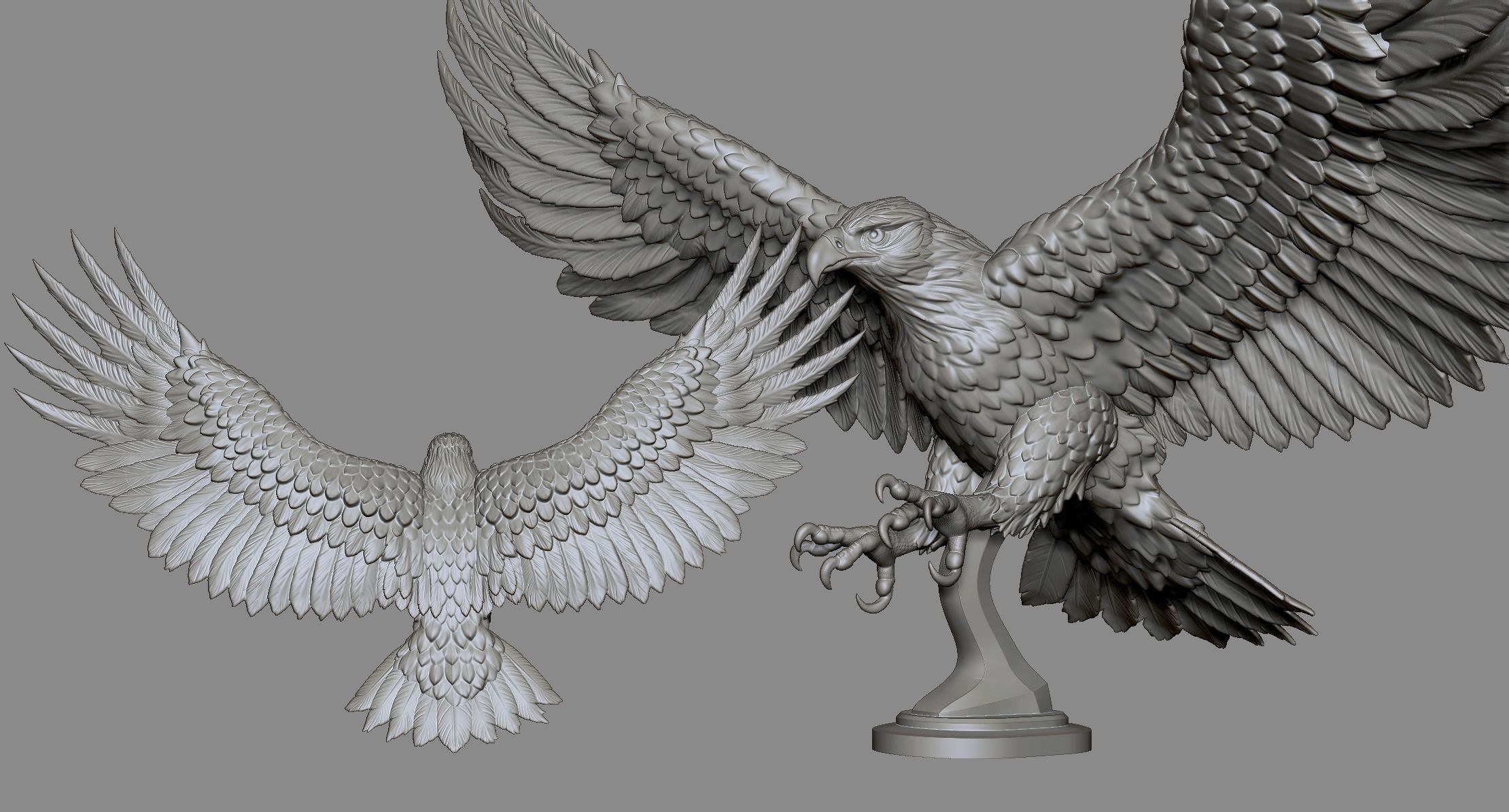 Eagle Golden 3D print model_5