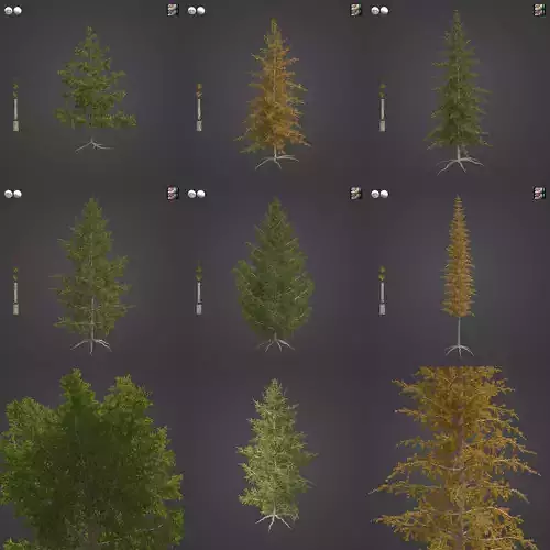 2021 PBR Western Larch Collection - Larix Occidentalis  3D model