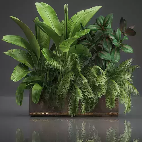 Decorative plants for outdoor and interior in metal pots 1057