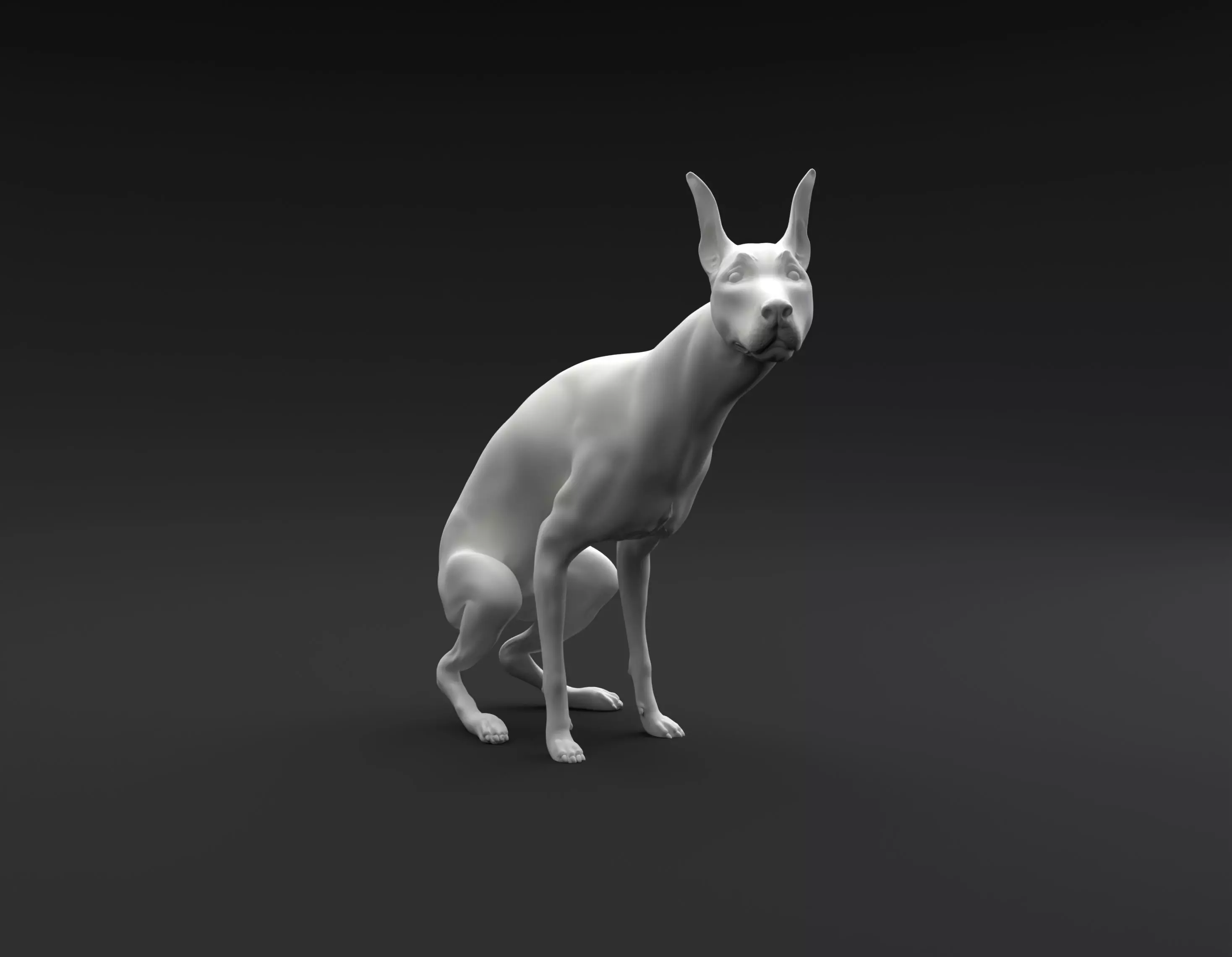 Doberman Pinscher pooping intended for 3D printing 3D print model_0