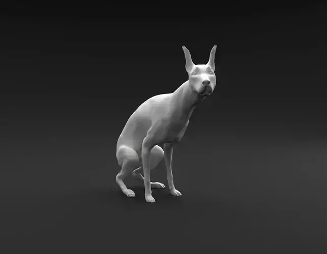 Doberman Pinscher pooping intended for 3D printing 3D print model
