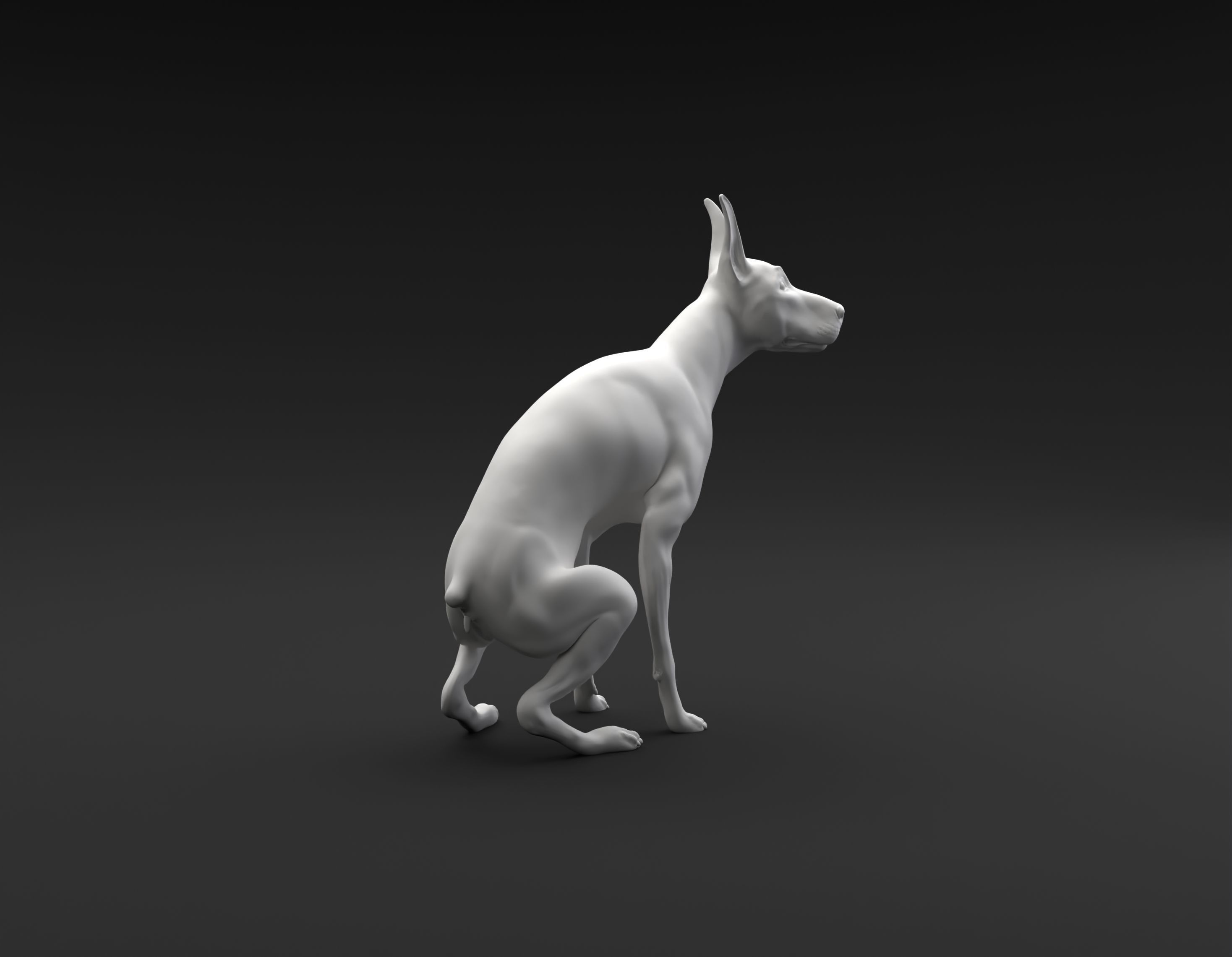 Doberman Pinscher pooping intended for 3D printing 3D print model_3