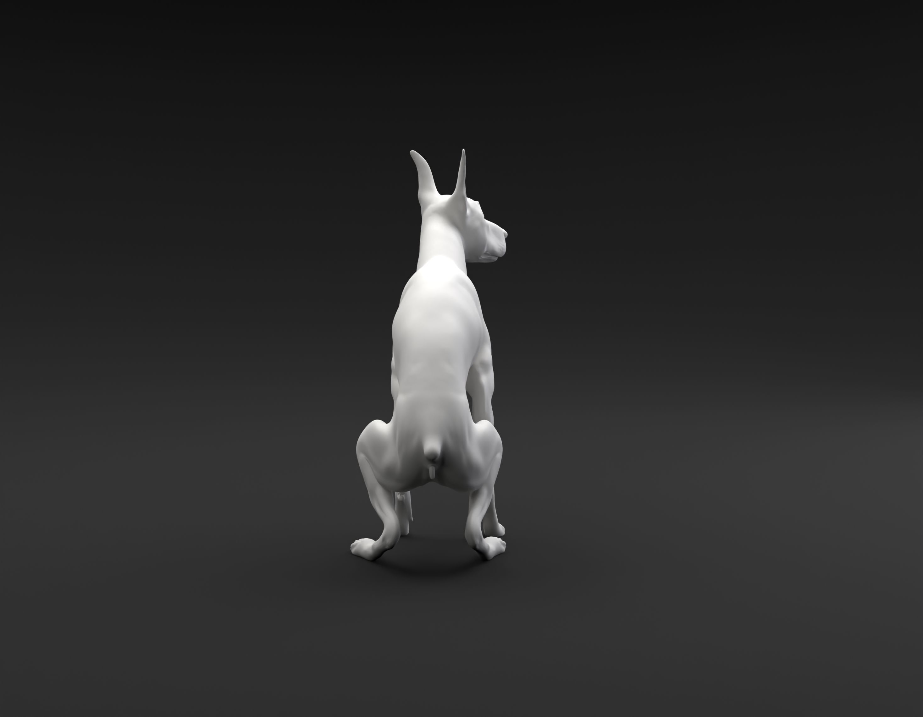 Doberman Pinscher pooping intended for 3D printing 3D print model_4