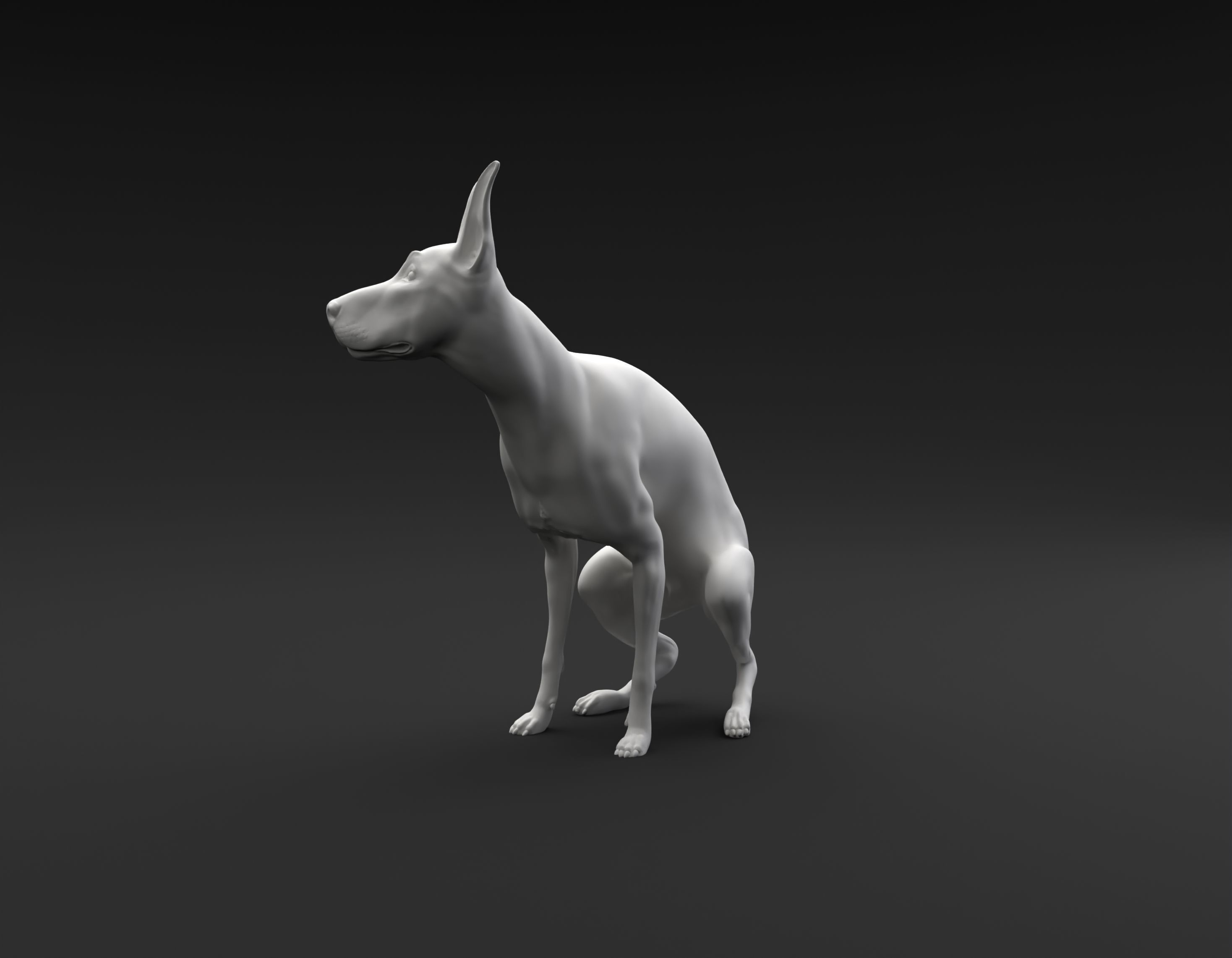 Doberman Pinscher pooping intended for 3D printing 3D print model_7
