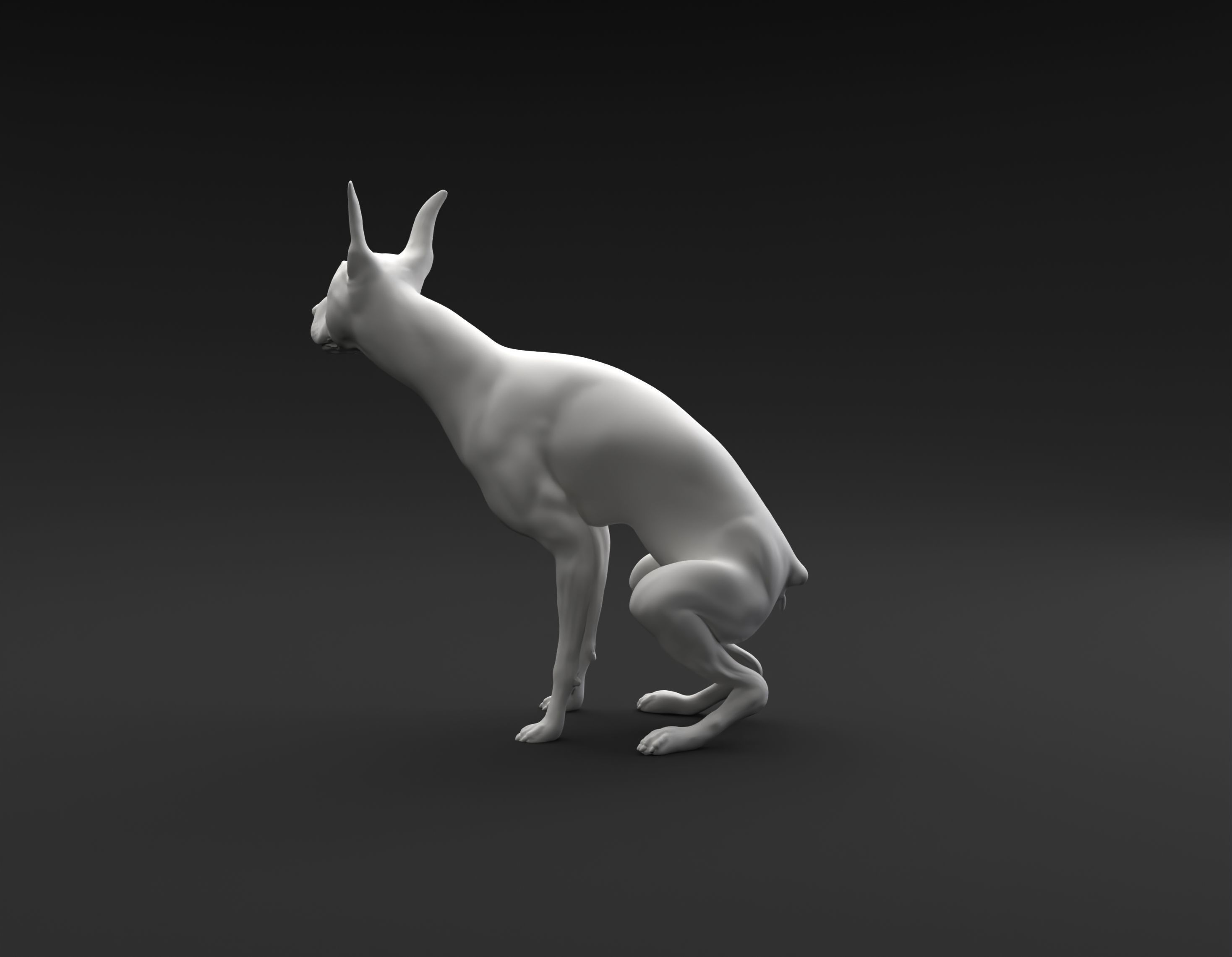 Doberman Pinscher pooping intended for 3D printing 3D print model_6