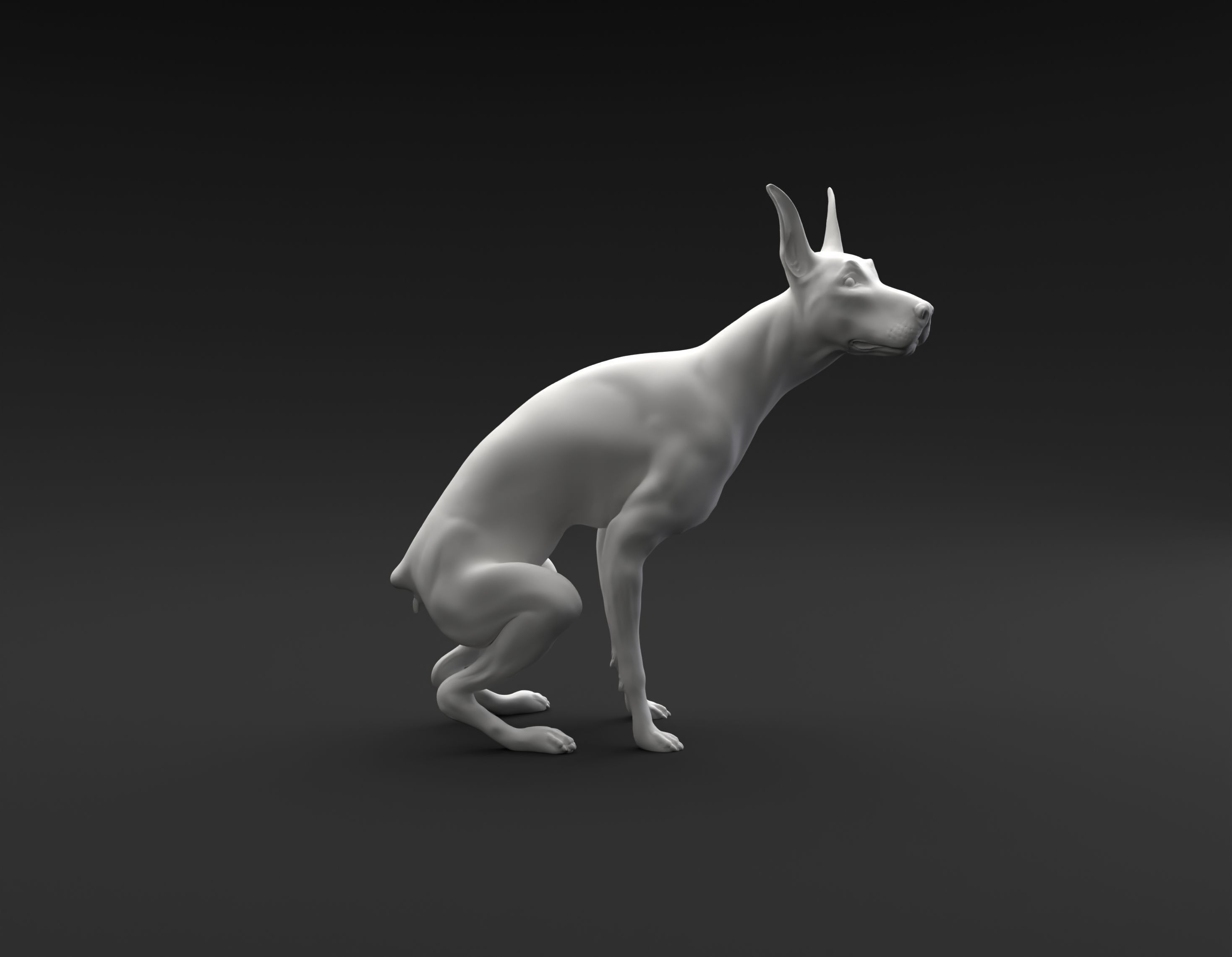Doberman Pinscher pooping intended for 3D printing 3D print model_1