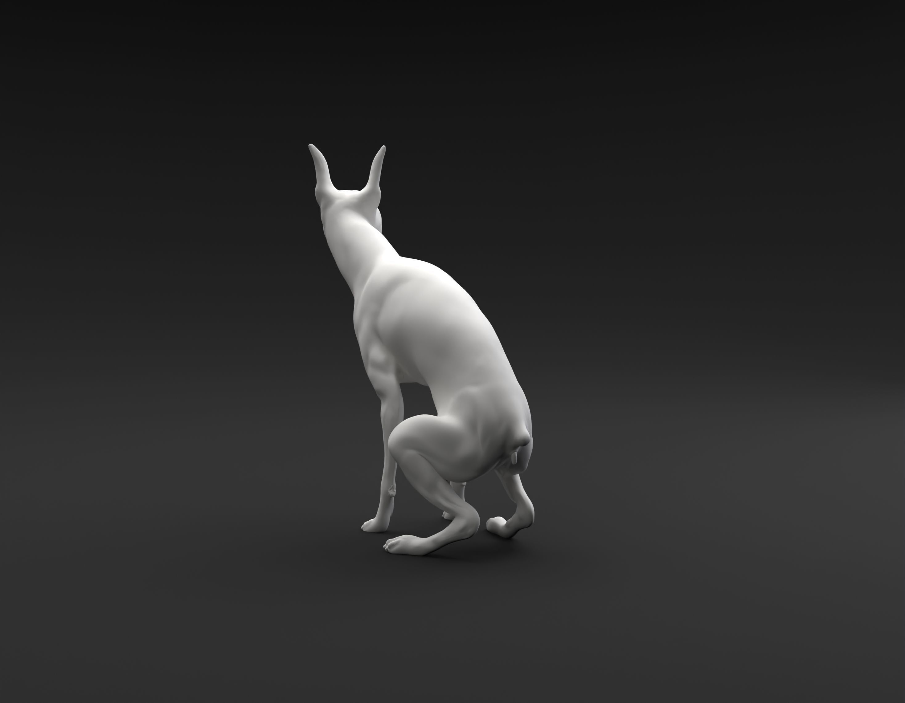 Doberman Pinscher pooping intended for 3D printing 3D print model_5