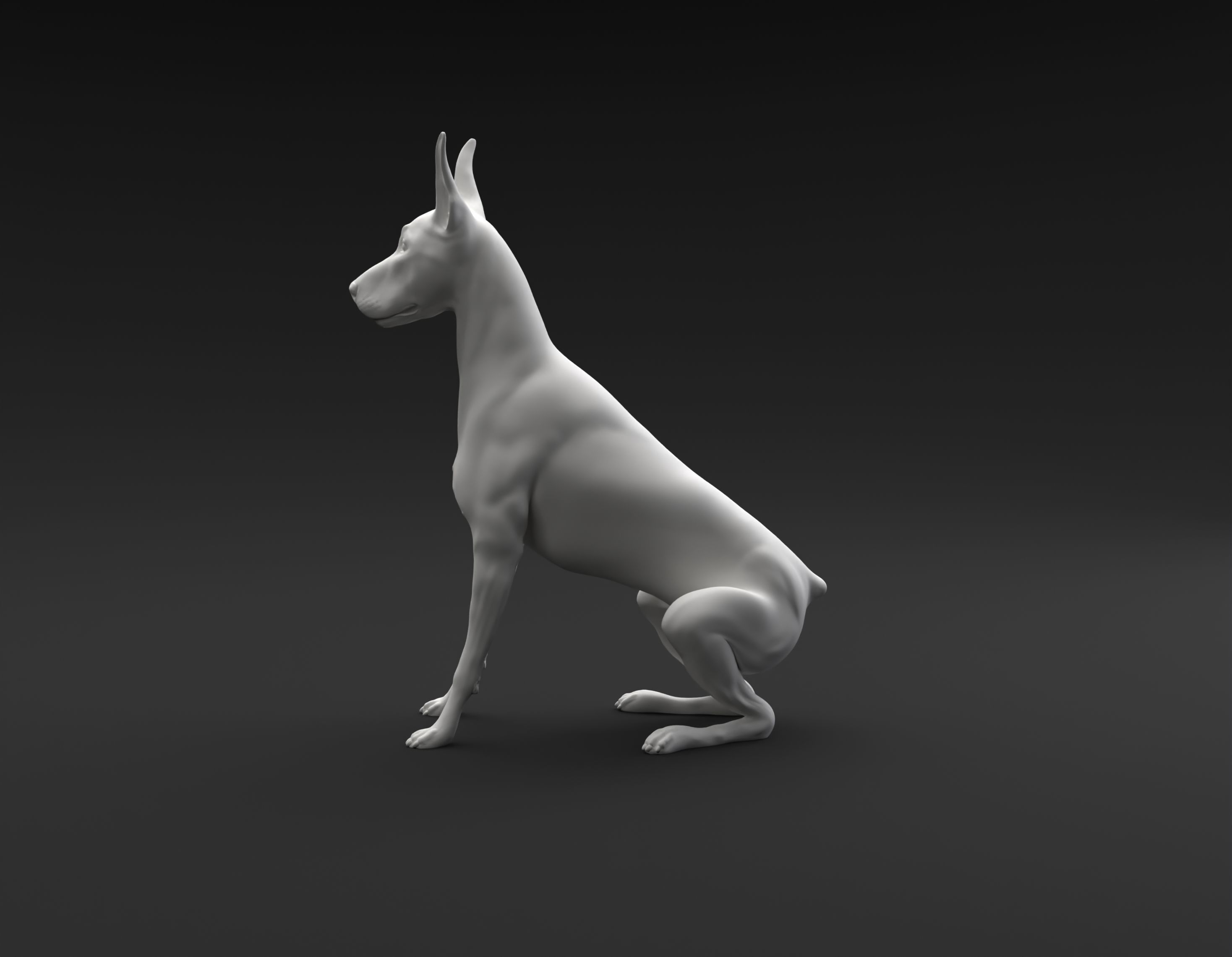 Doberman Pinscher sitting intended for 3D printing 3D print model_6