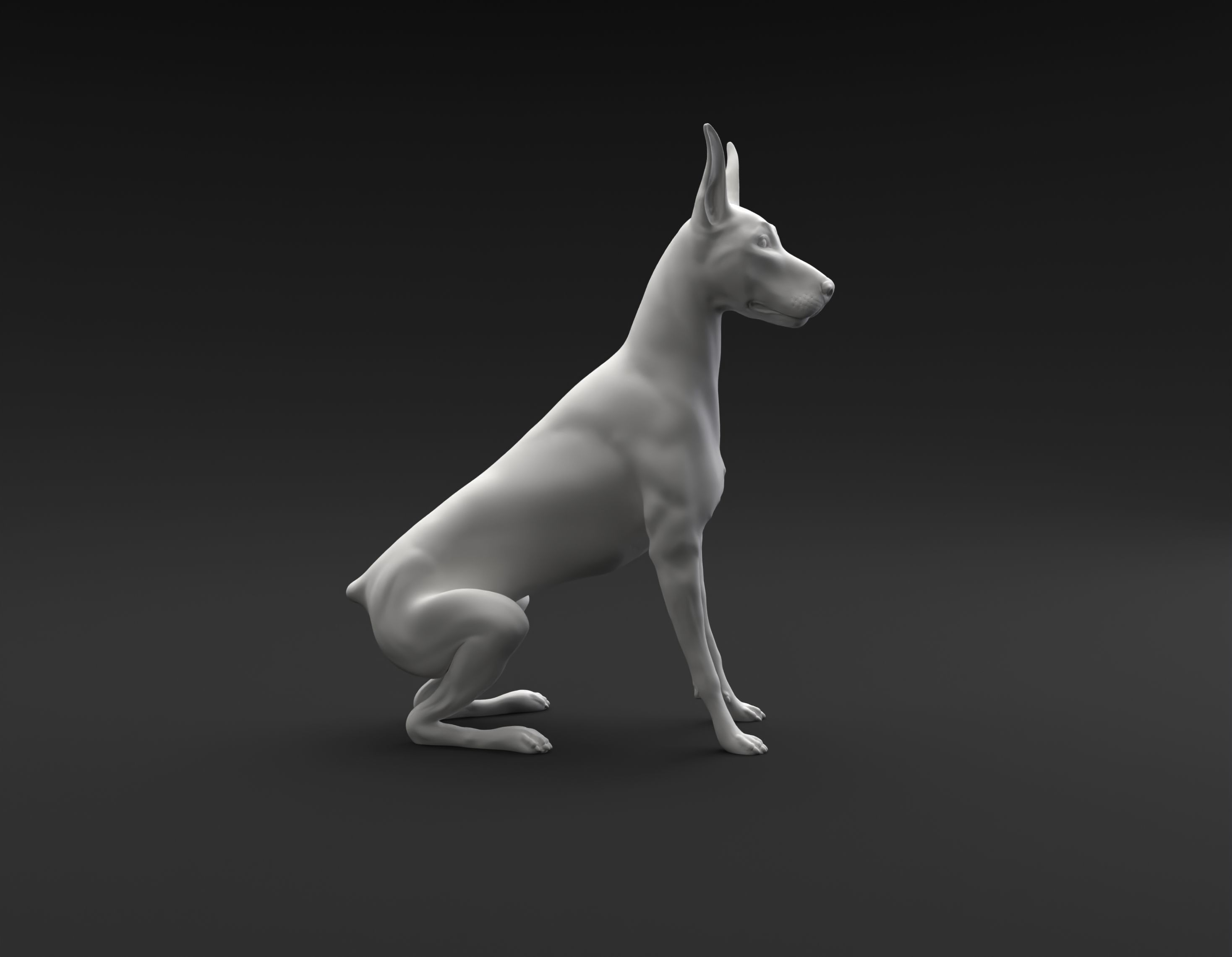 Doberman Pinscher sitting intended for 3D printing 3D print model_2