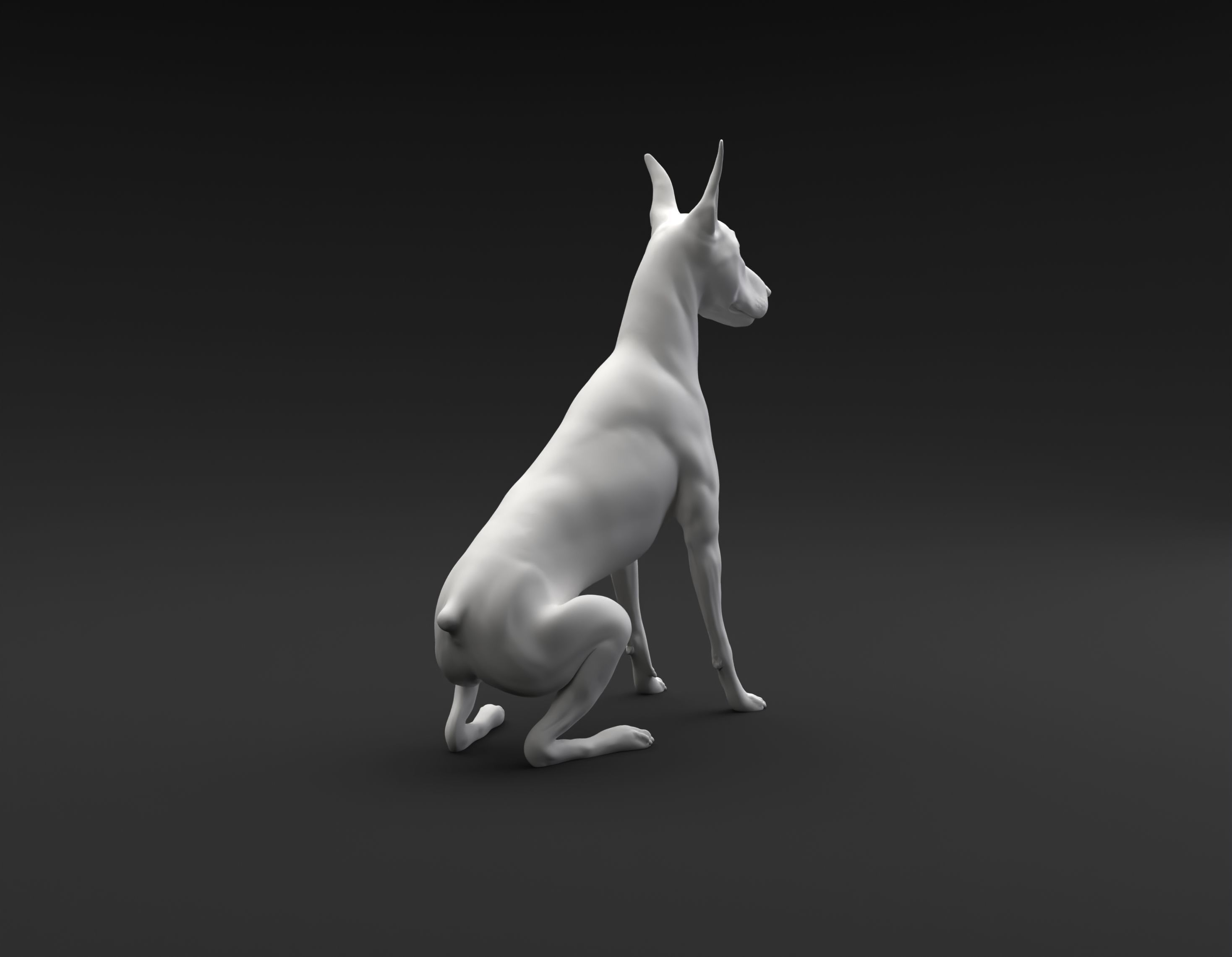 Doberman Pinscher sitting intended for 3D printing 3D print model_3