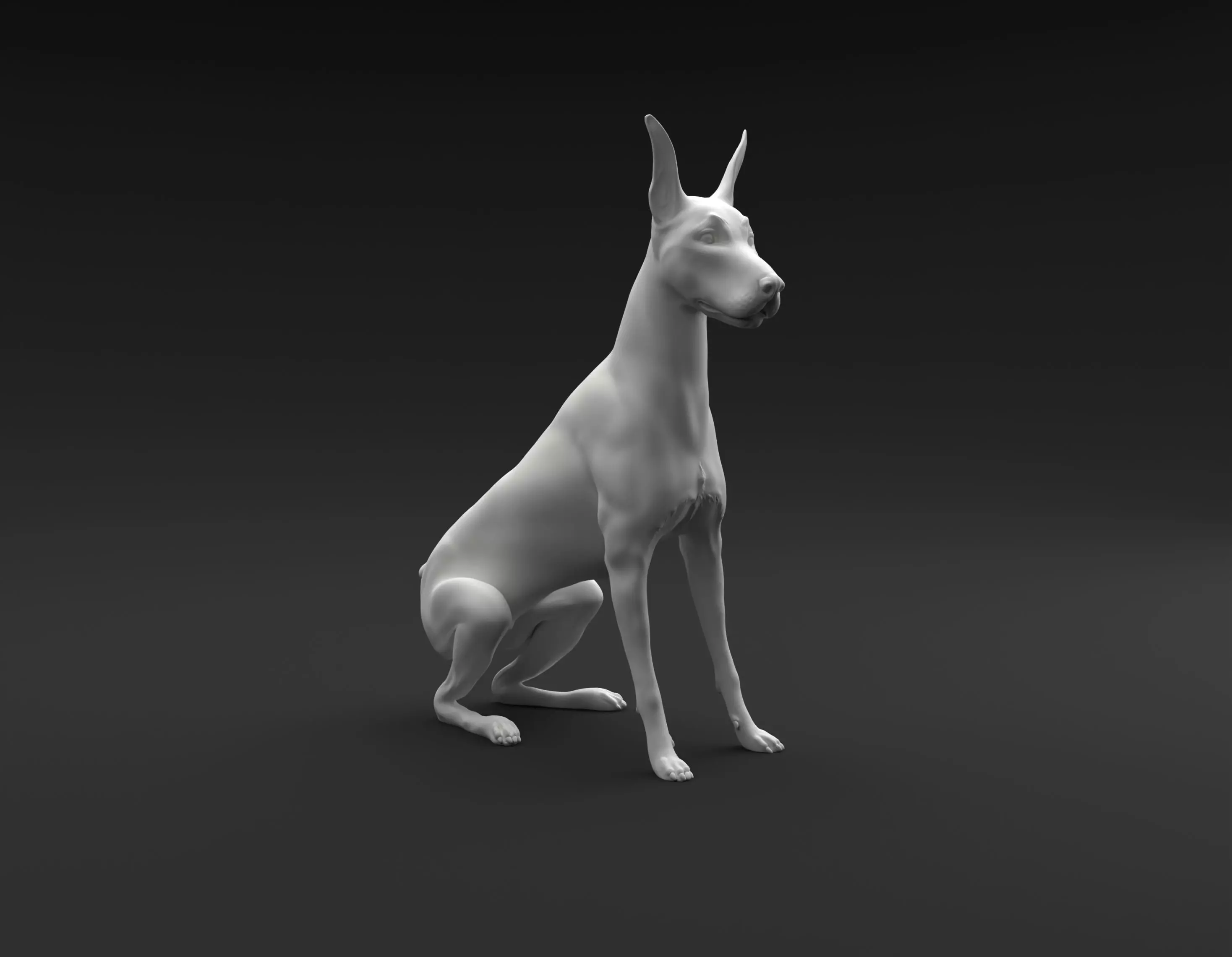 Doberman Pinscher sitting intended for 3D printing 3D print model_0