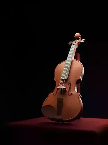 Violin