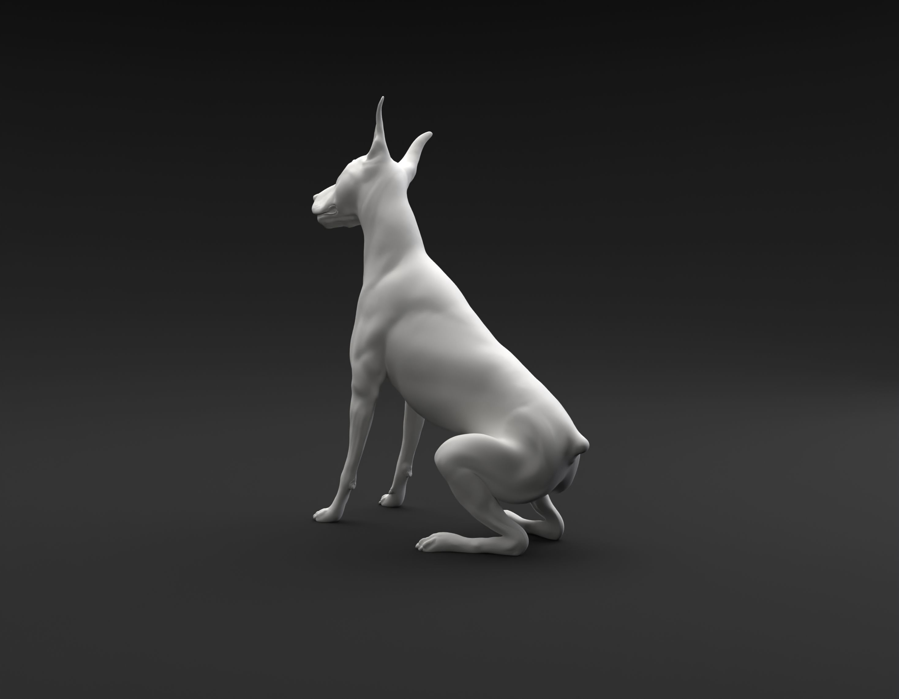 Doberman Pinscher sitting and tilting head for 3D printing 3D print model_2