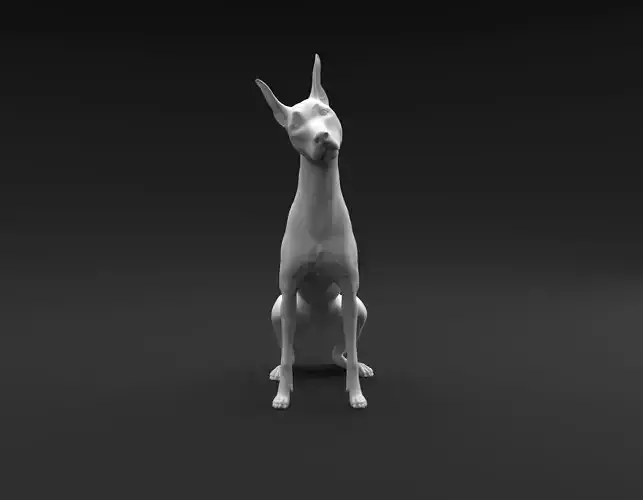 Doberman Pinscher sitting and tilting head for 3D printing 3D print model