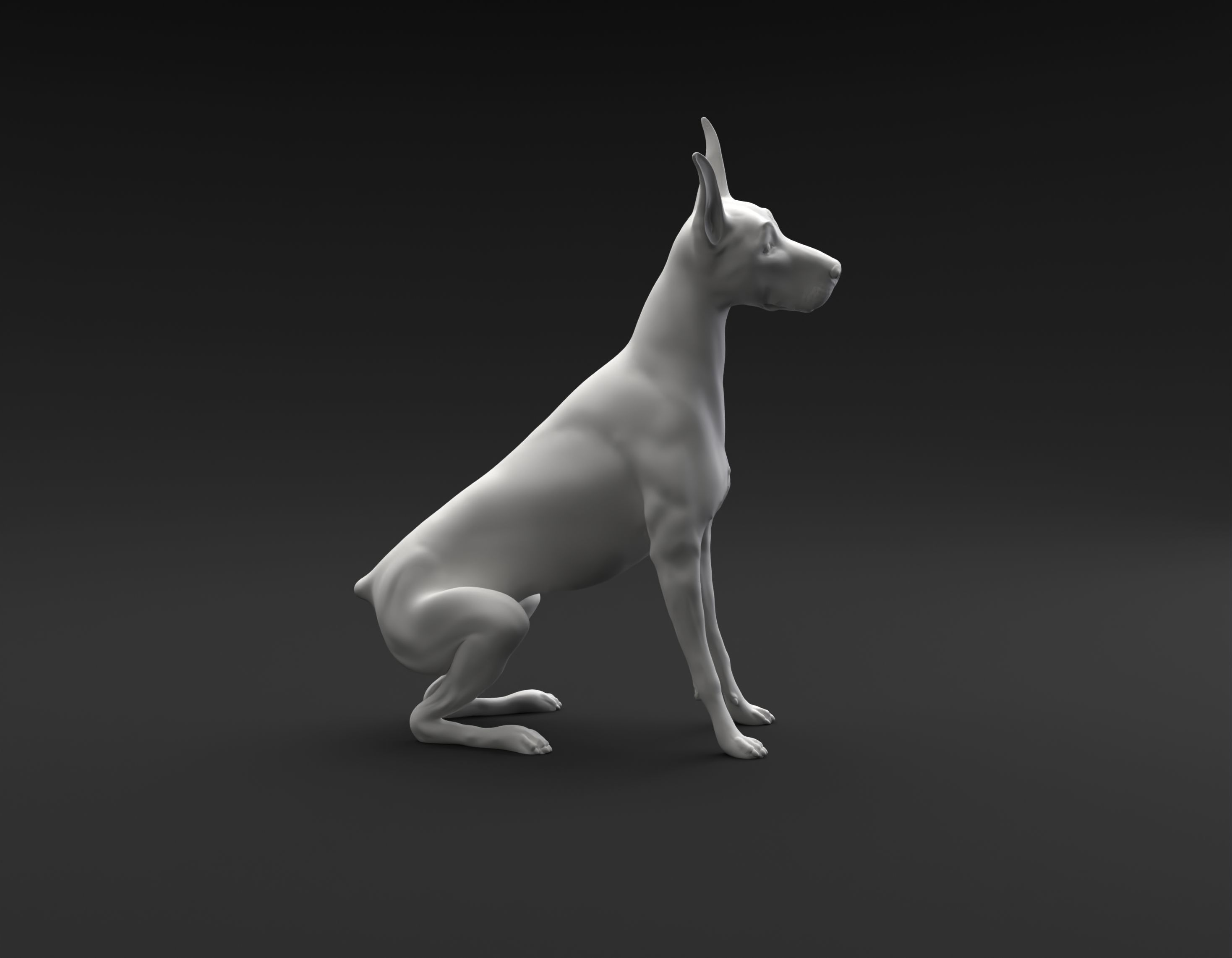 Doberman Pinscher sitting and tilting head for 3D printing 3D print model_5