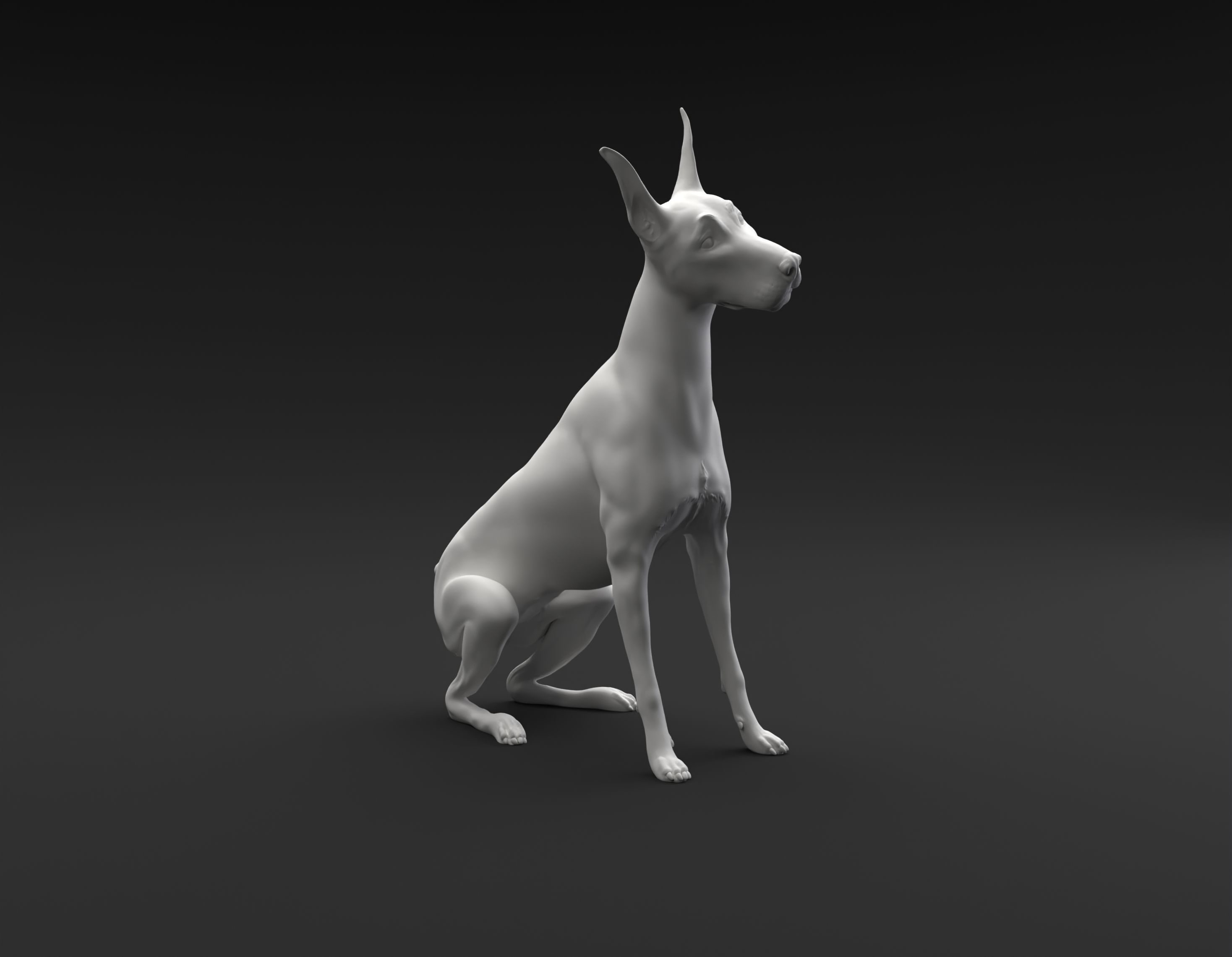 Doberman Pinscher sitting and tilting head for 3D printing 3D print model_1