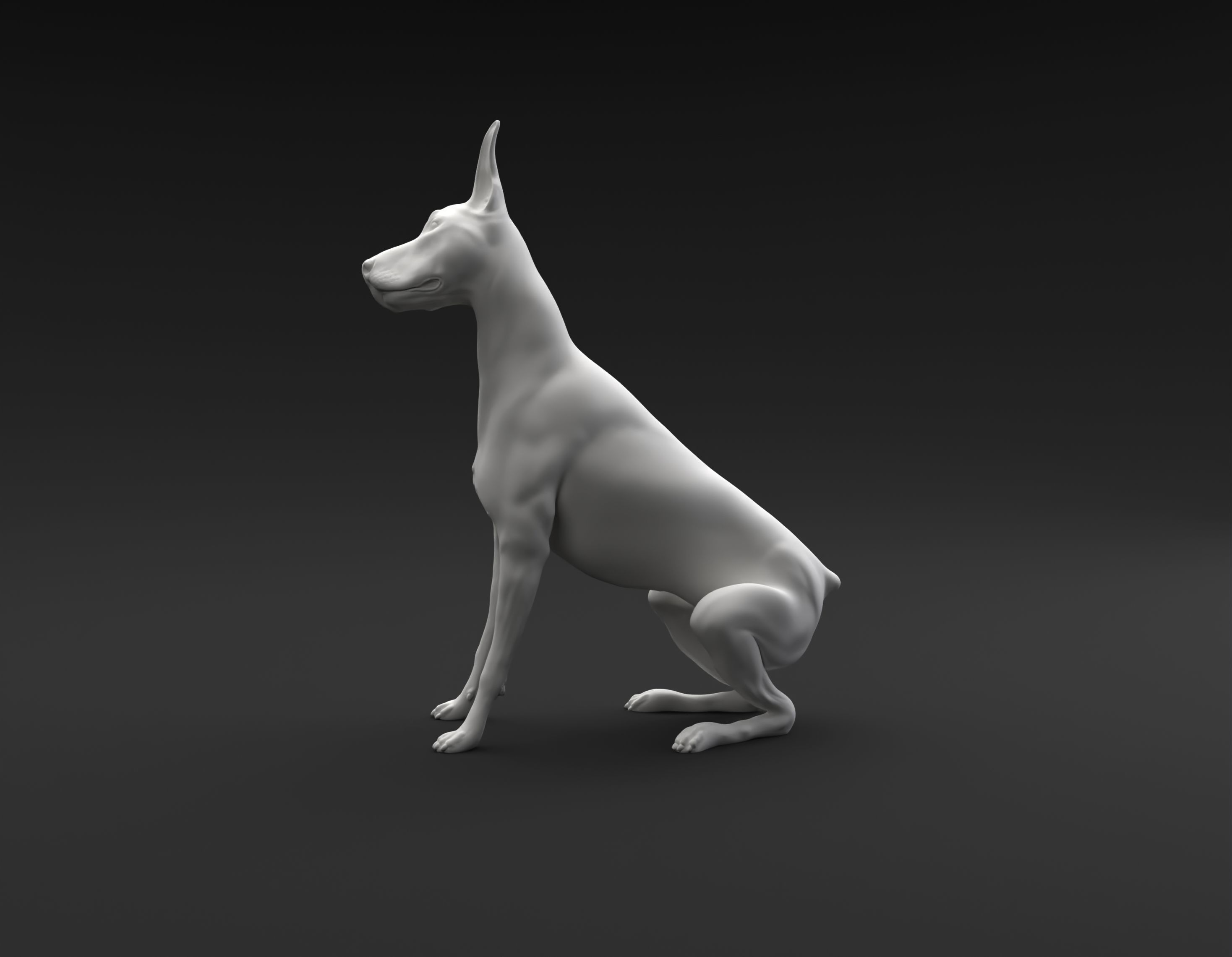 Doberman Pinscher sitting and tilting head for 3D printing 3D print model_4