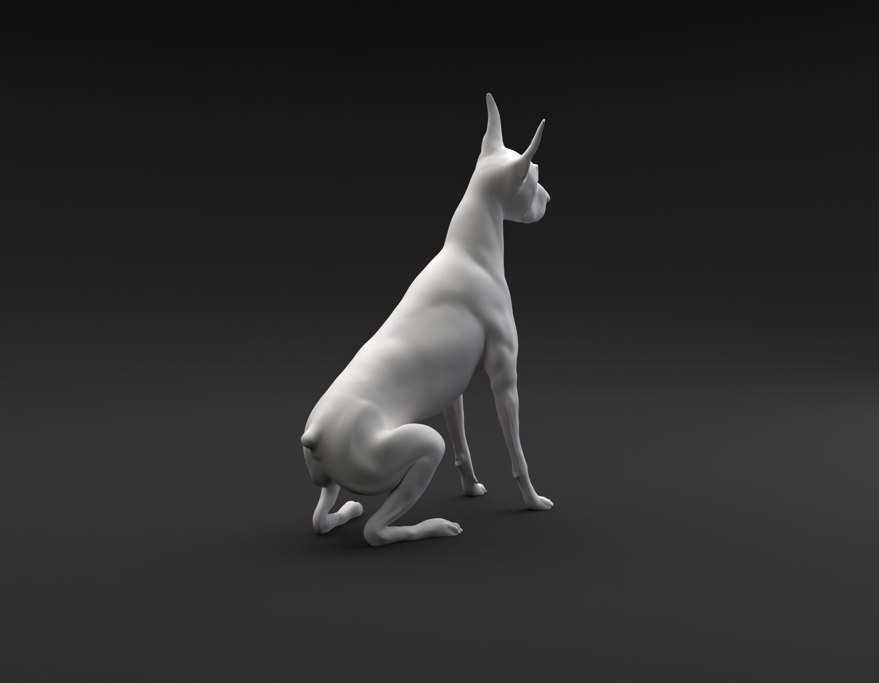 Doberman Pinscher sitting and tilting head for 3D printing 3D print model_7
