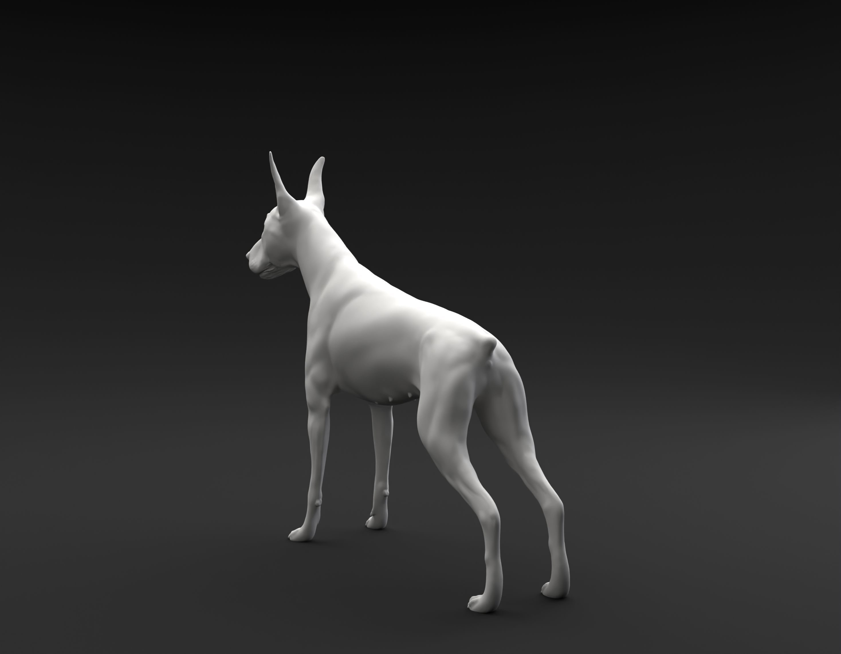 Doberman Pinscher standing female and male for 3D printing 3D print model_4
