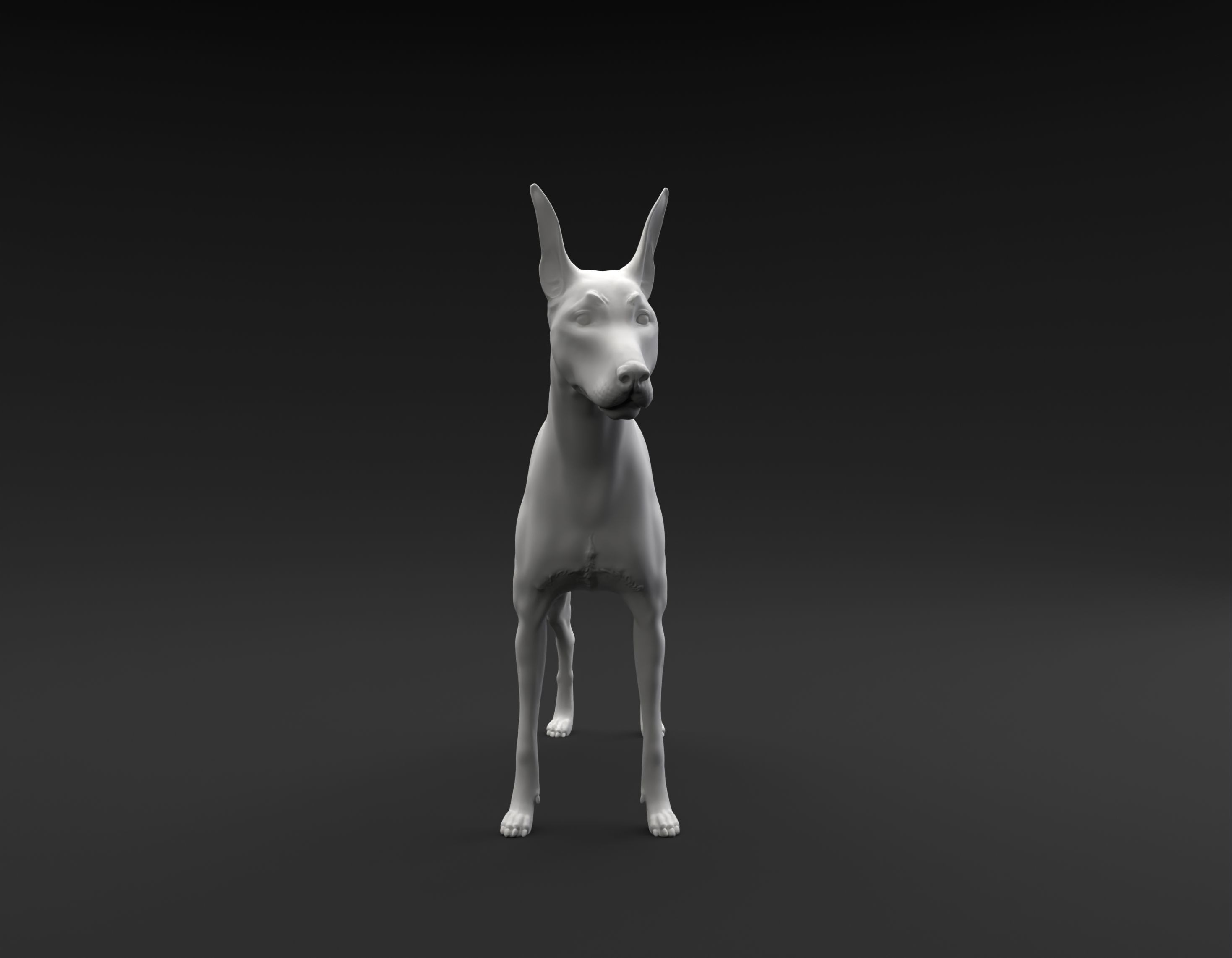 Doberman Pinscher standing female and male for 3D printing 3D print model_7