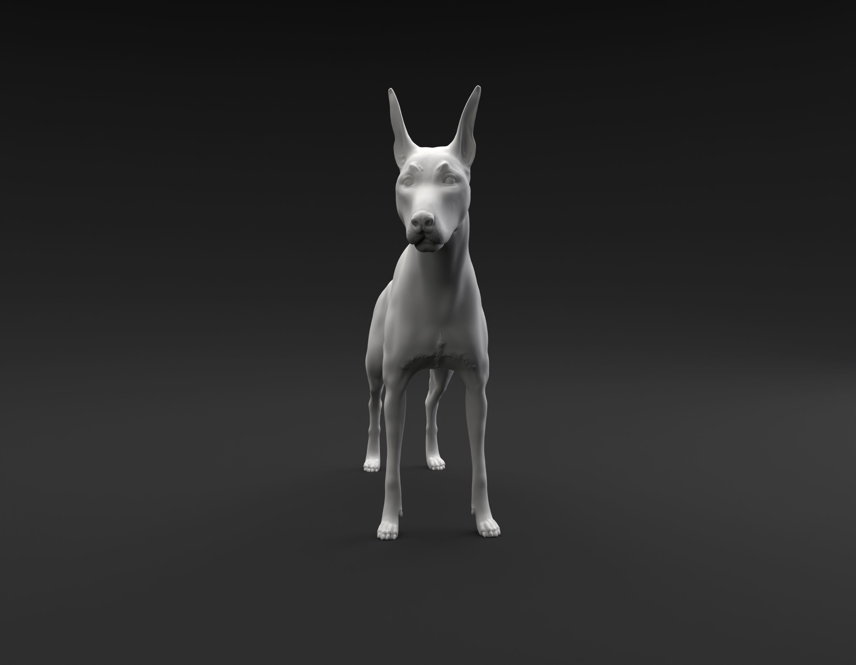Doberman Pinscher standing female and male for 3D printing 3D print model_8