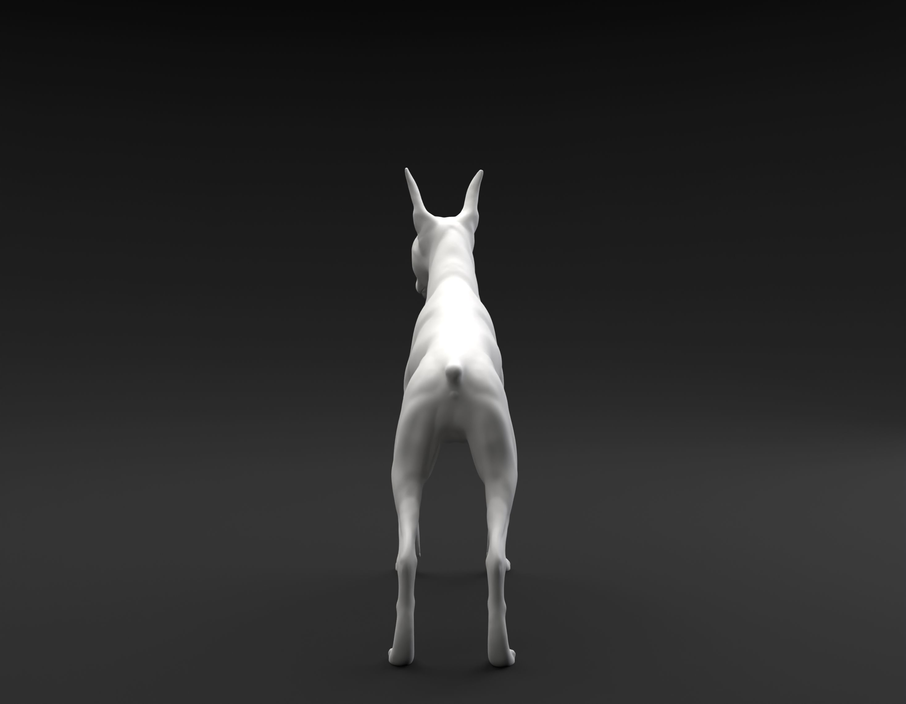 Doberman Pinscher standing female and male for 3D printing 3D print model_3