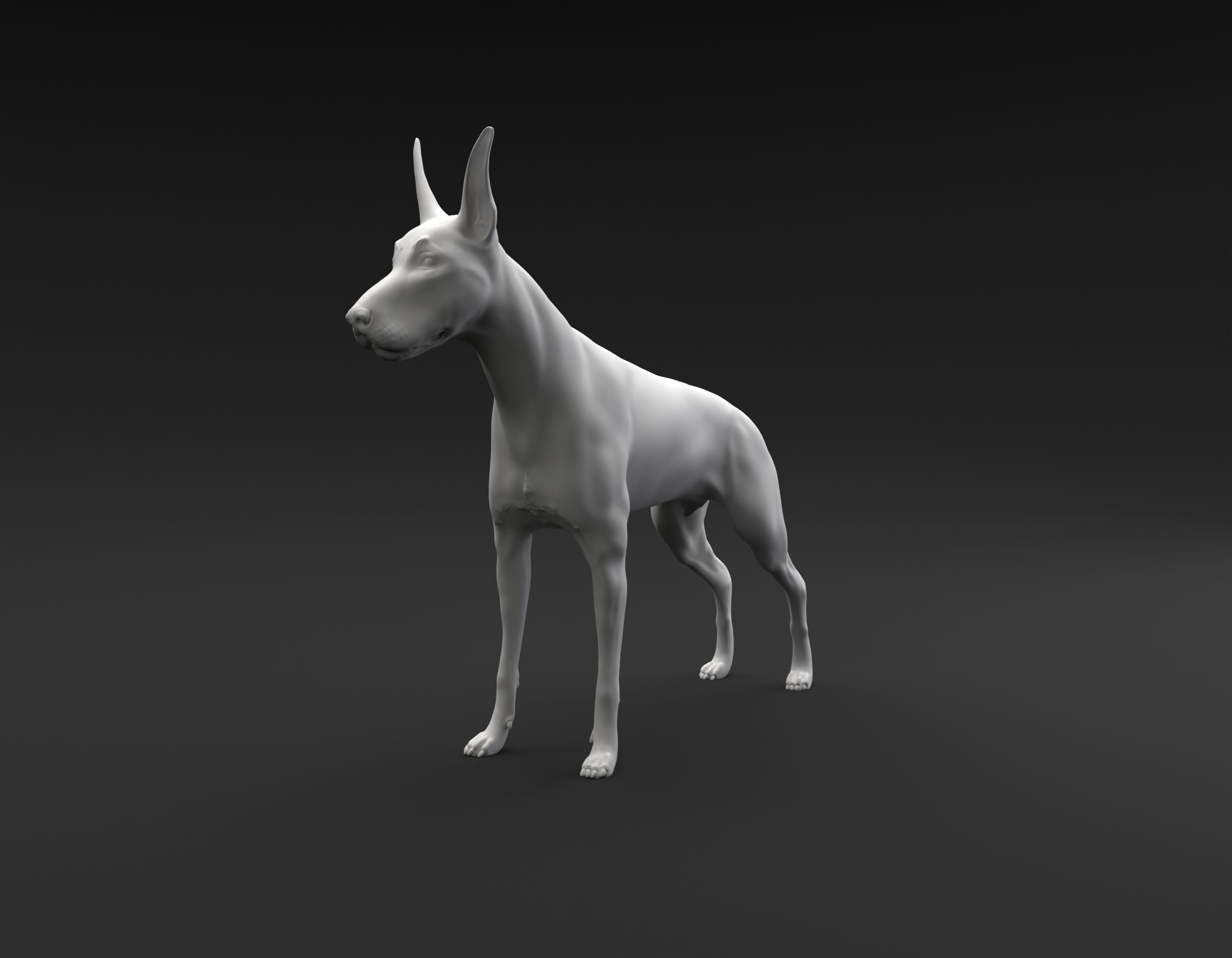 Doberman Pinscher standing female and male for 3D printing 3D print model_15